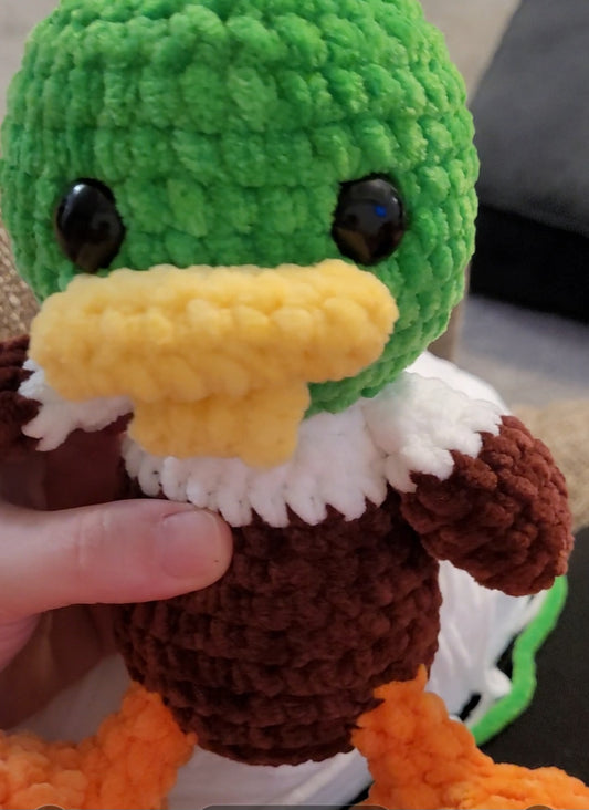 Mallard Duck